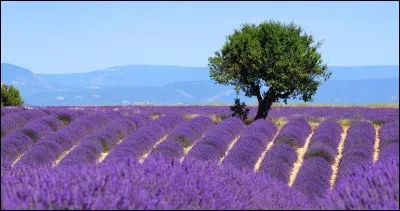 Où sommes-nous désormais ?