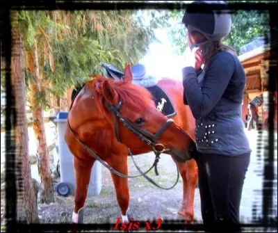 Qui est le chouchou de Wendy ?