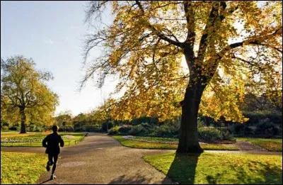 Le nom de cet endroit est "Hyde Park". Dans quelle ville cela se situe-t-il ?