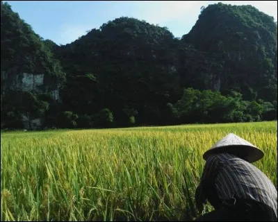Très beau. Où peut-on voir cela ?