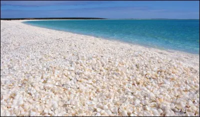 Cette plage de coquillages, où peut-on la voir ?