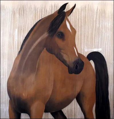 Quelle est la race de ce cheval ?