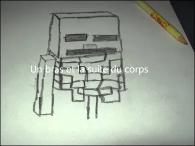 Le squelette a un(e) :