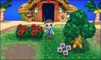 Quand on va sur l'île, on peut rencontrer au maximum :