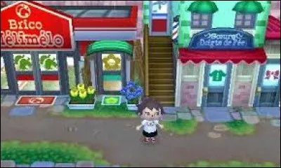 Combien y a-t-il de bâtiments dans la rue commerçante ?