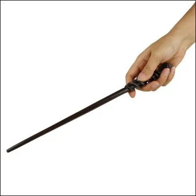 Qu'y a-t-il dans la baguette de Viktor Krum ?