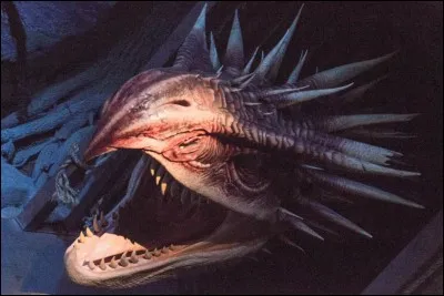 Contre quel dragon Harry Potter se bat-il ?