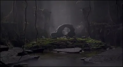 Dans ''Pirates des Caraïbes : La Fontaine de jouvence'' , après avoir trouvé la fontaine de jouvence, qui boit dans le mauvais calice ?