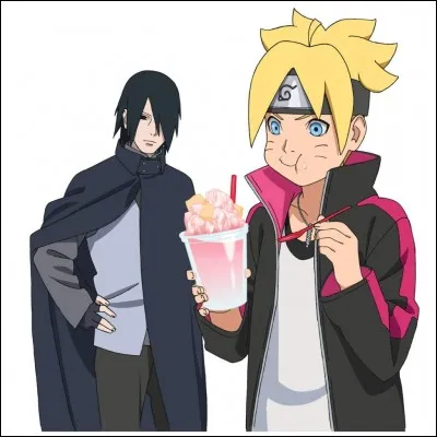 Quel(le) est le(la) disciple de Sasuke dans « Boruto : Naruto the Movie » ?
