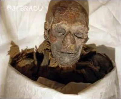 Au VIIIe siècle av. J.-C., elle est envahie par :