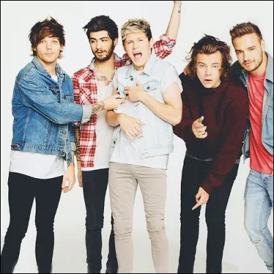 Quand s'est formé le groupe ?