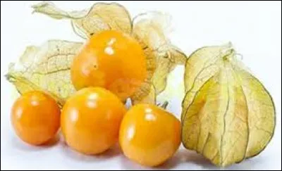 Relatif au pois d'Angole ou ambrevade, légumineuse de La Réunion :