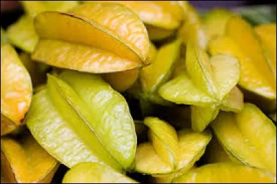 Cyclomoteur utilisé pour l'entraînement des coureurs cyclistes :