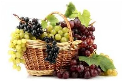 Adepte d'une religion très développée en Inde, religion visant à mener l'homme à la fin des réincarnations, le nirvana :