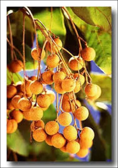 Antonyme de "doux" :