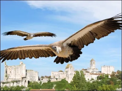 Il est temps de nous quitter pour aujourd'hui,nous allons terminer cette promenade qui j'espère vous aura ravie en visitant la jolie petite ville de Chauvigny dans la Vienne,combien de châteaux pourrez-vous y découvrir ?