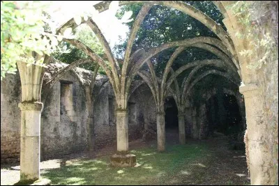 Nous voici maintenant en Vendée et plus exactement à Saint-Michel-en-L'Herm pour y admirer les émouvants restes de son abbaye royale,qui en fut le dernier abbé de 1651 à 1661 ?