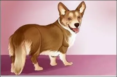 Comment s'appelle le chien de la directrice ?