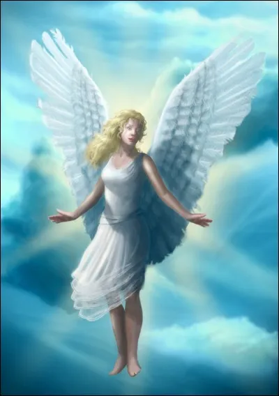 Faites marcher la bo&icirc;te &agrave; souvenirs !