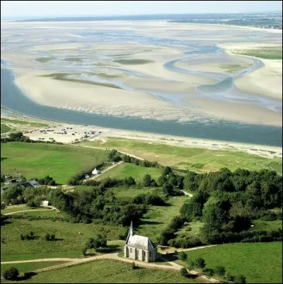 624 : c'est le nombre de survivants d'une race animale, recensée dans la baie de Somme pendant l'été 2015. Quels sont ces animaux ?