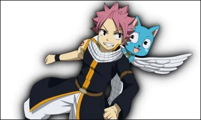 Lequel est l'Exceed de Natsu ?