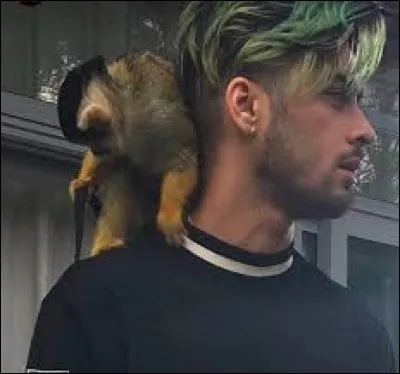Quel est le deuxième prénom de Zayn ?