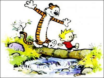 On peut voir un enfant roux et un cocker n'aimant pas les douches, accompagnés d'une tortue nommé Caroline.