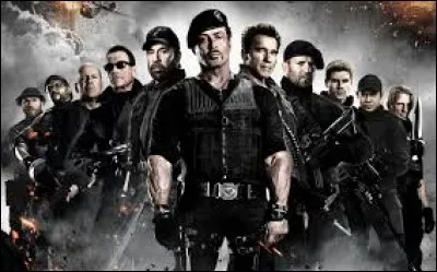 Lequel de ces acteurs n'a pas joué dans le film "Expendable : Unité Spéciale" ?