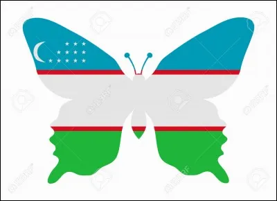 À quel pays correspond ce drapeau ?