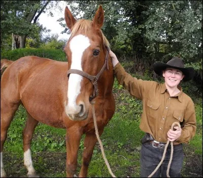Il nourrit les poneys, c'est ...