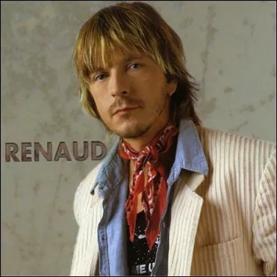 Combien Renaud a-t-il écrit d'album ?