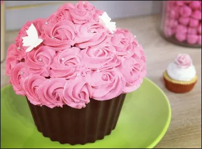 Roxane est-elle déjà allée à Vidéo City ?