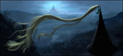 Pendant que sa mère n'est pas là, ton amie Raiponce a pris le risque de s'échapper une journée de sa tour pour passer du temps avec toi.