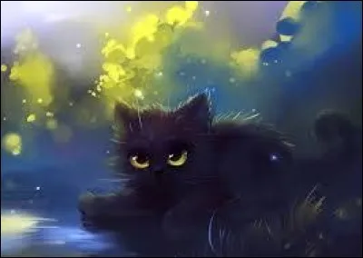 Quel est mon nom de chaton ?