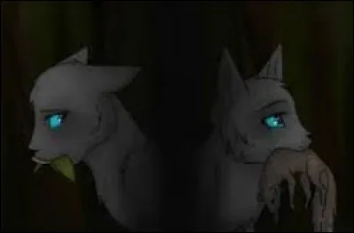 Vais-je devenir guerrière ou guérisseuse ?