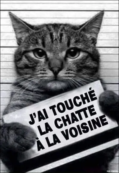 Qui a chanté "Toucher la chatte à la voisine" ?