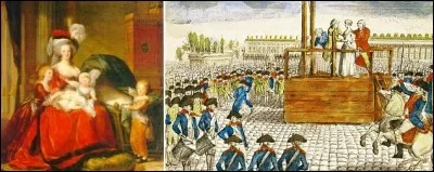 Qui est l'époux de cette dernière reine de France née à Vienne ?