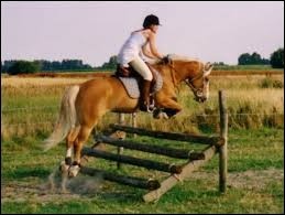 Quiz Galop 4
