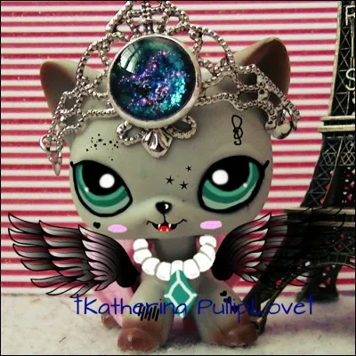 Peux-tu me dire quel est le nom de cette youtubeuse qui porte cette photo ?