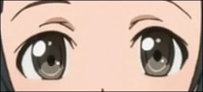 La fille adoptive des héros :