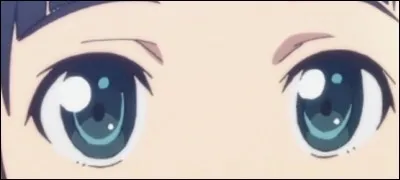 La petite sur du héros qui se met aussi à jouer aux VRMMORPG :