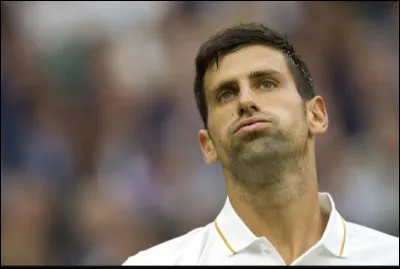 Combien de restaurants possède Novak Djokovic ?