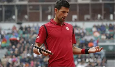 Combien de frères a Novak Djokovic ?