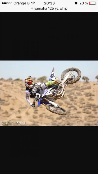 Qu'est-ce qu'un whip ?