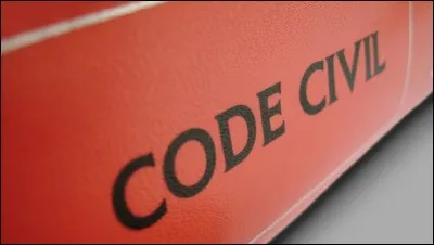 Grand conquérant, mettant presque toute l'Europe à mes pieds, je crée le Code civil, nouvel outil judiciaire. Je reste à l'origine de l'égalité des impôts, des institutions de police modernes, de la liberté d'entreprise et du droit à la concurrence. Je suis...