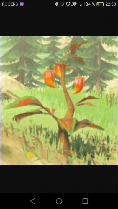 Que donnent les effets Tempo et Protecto ?