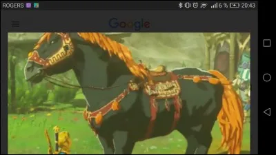 SPOILER! 
Combien d'endurance a le cheval de Ganondorf (ou plutôt son descendant) ?