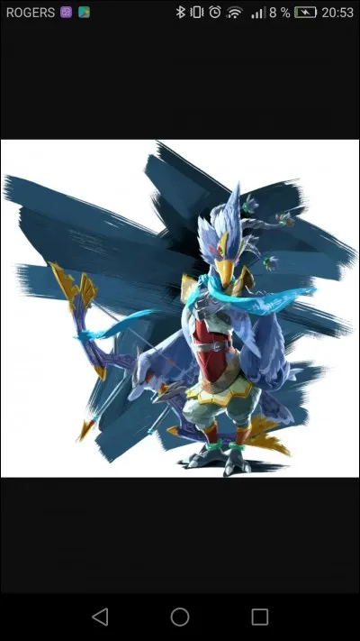 Comment se nomme le pouvoir de Revali, le Piaf ?