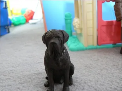 Quel est le nom du chien de Hagrid ?