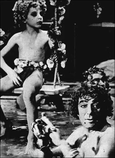 Qui sont ses jeunes hommes efféminés entretenus par un homosexuel, l'accompagnant dans les soirées intimes ?